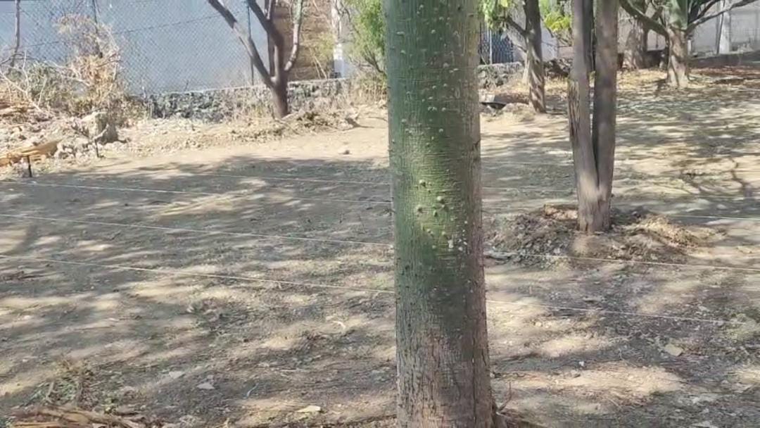 Imagen de Vivero