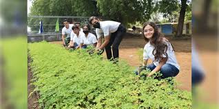 Estudiantes trabajando en viveros