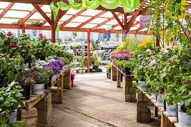 Vivero de plantas